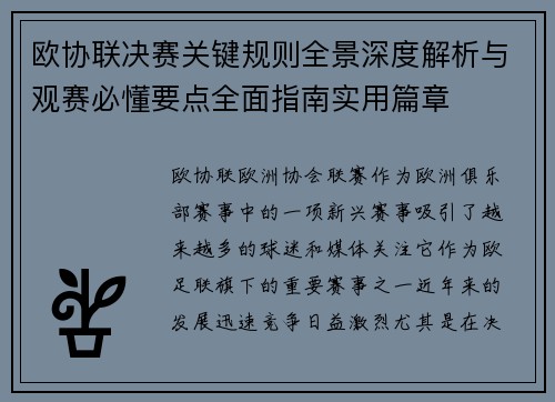 欧协联决赛关键规则全景深度解析与观赛必懂要点全面指南实用篇章